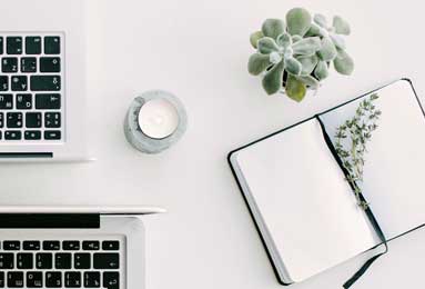 樊振东莫雷加德欧冠首次同队出战，二人巴黎奥运会交手后曾互换球衣